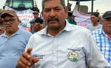 Queda libre líder de los sorgueros en Tamaulipas
