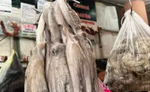 Pulpo maya yucateco va por una certificación internacional
