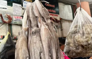 Pulpo maya yucateco va por una certificación internacional