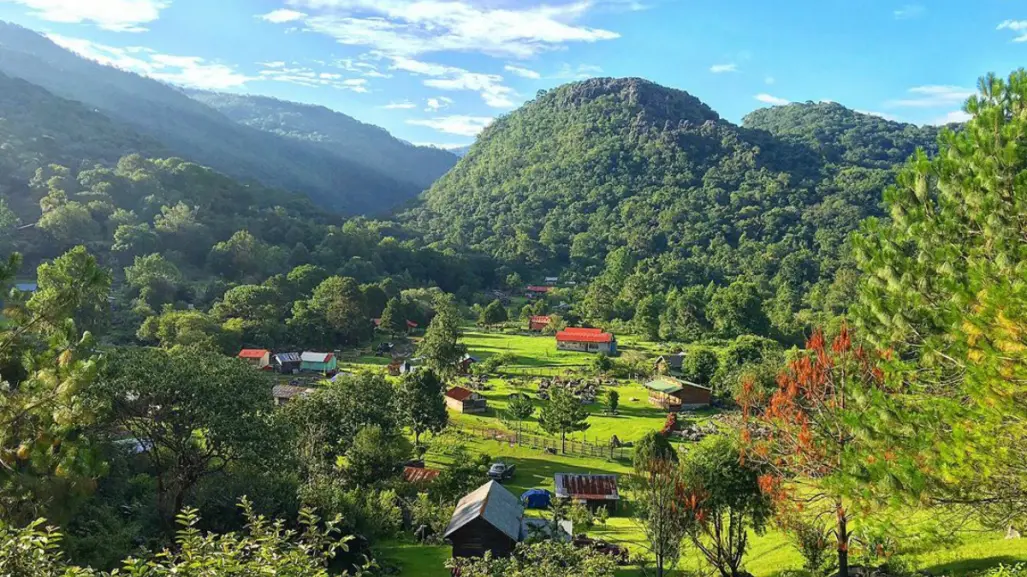 Esta joya de Tamaulipas es considerada el pulmón de México y se puede visitar con la familia