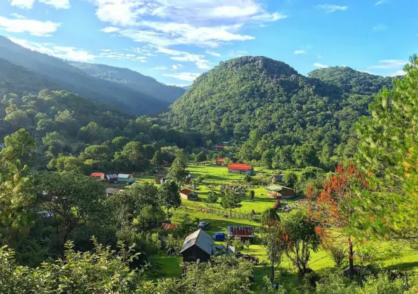 Esta joya de Tamaulipas es considerada el pulmón de México y se puede visitar con la familia