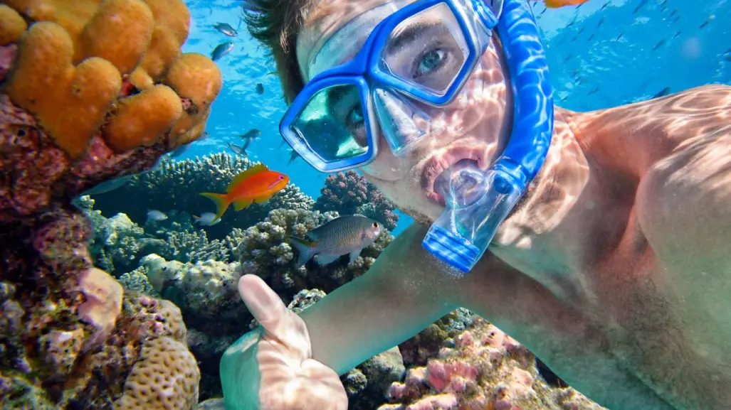 Arrecifes que puedes visitar en Quintana Roo  ideales para hacer snorkel
