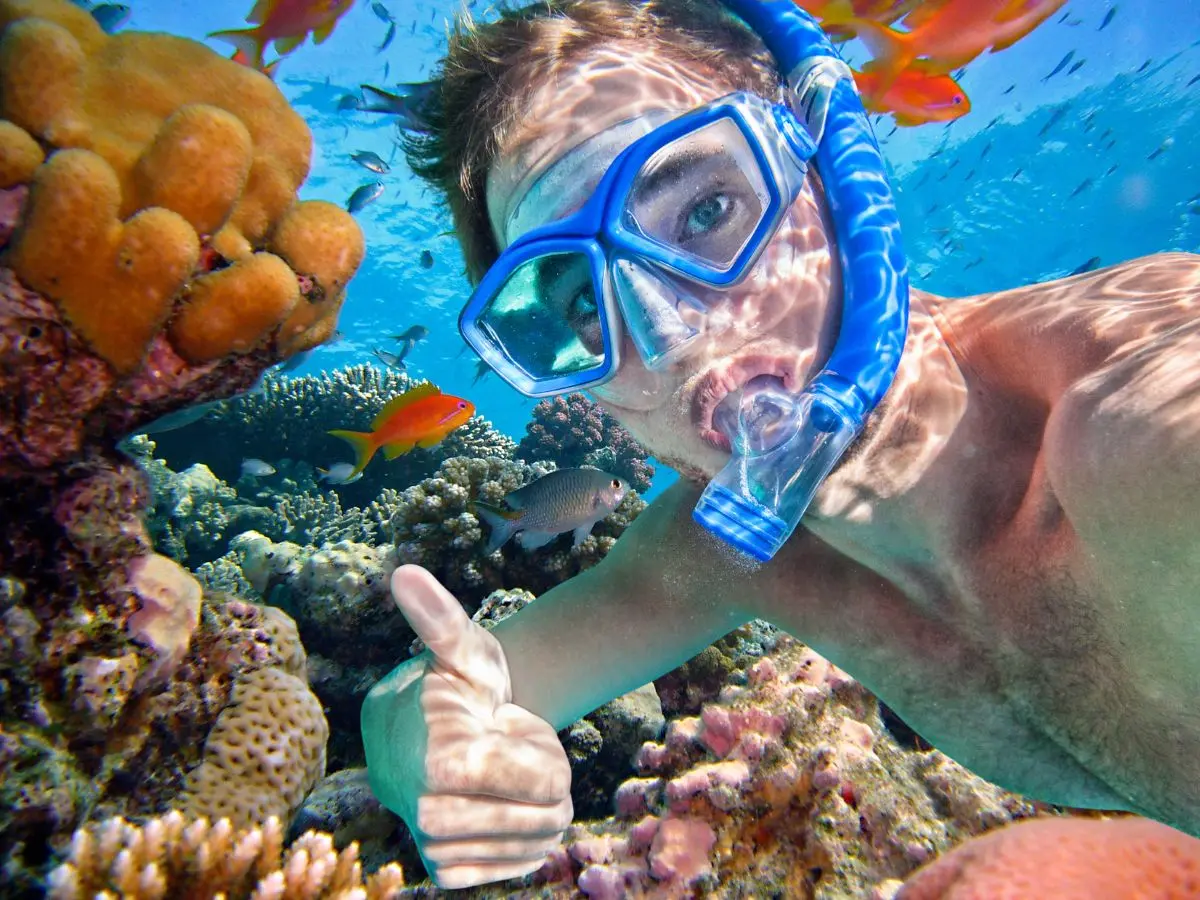 La mejor forma de explorar los arrecifes de Quintana Roo siempre será con una operadora certificada y  no olvidar tener conciencia ambiental.- Fuente Canva