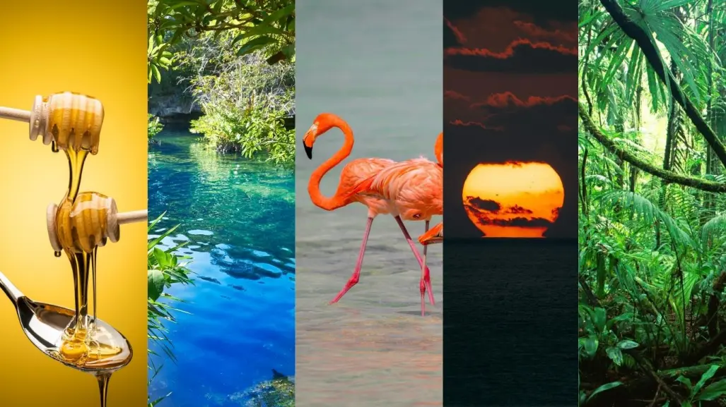 Los 5 colores que representan el paraíso visual de Yucatán