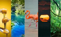  Los 5 colores que representan el paraíso visual de Yucatán