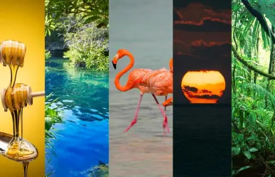  Los 5 colores que representan el paraíso visual de Yucatán