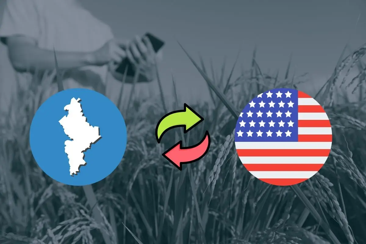 La agroindustria en Nuevo León atraviesa una etapa de oportunidades y desafíos. Foto: CANVA