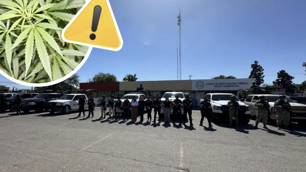 Operativo en Nueva Rosita desmantela punto de narcomenudeo, decomisan 40 kilos de marihuana
