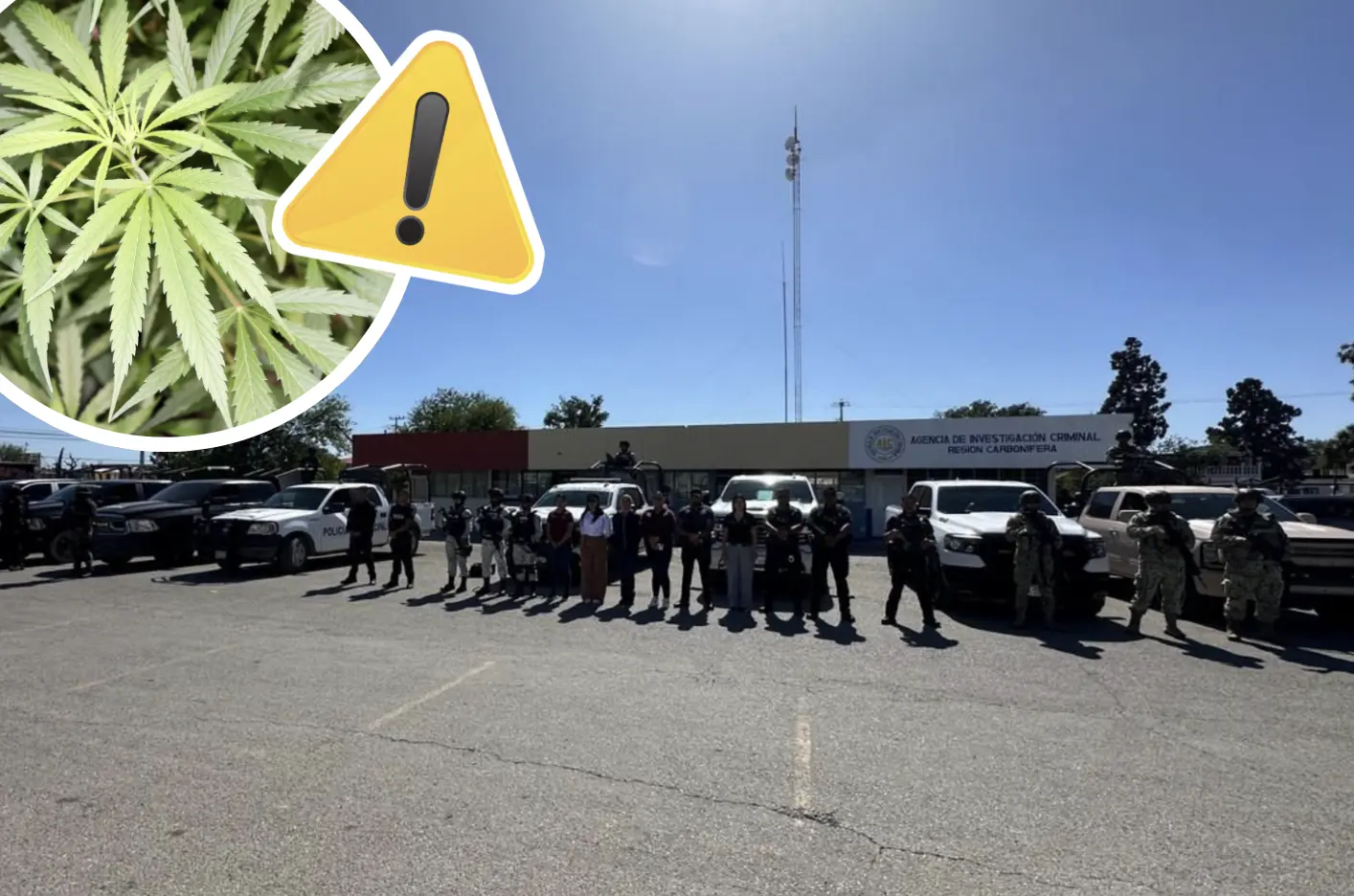 Autoridades decomisan 40 kilos de marihuana en Nueva Rosita, Coahuila / Fotos: AIC - PAR | Canva