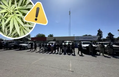Operativo en Nueva Rosita desmantela punto de narcomenudeo, decomisan 40 kilos de marihuana 