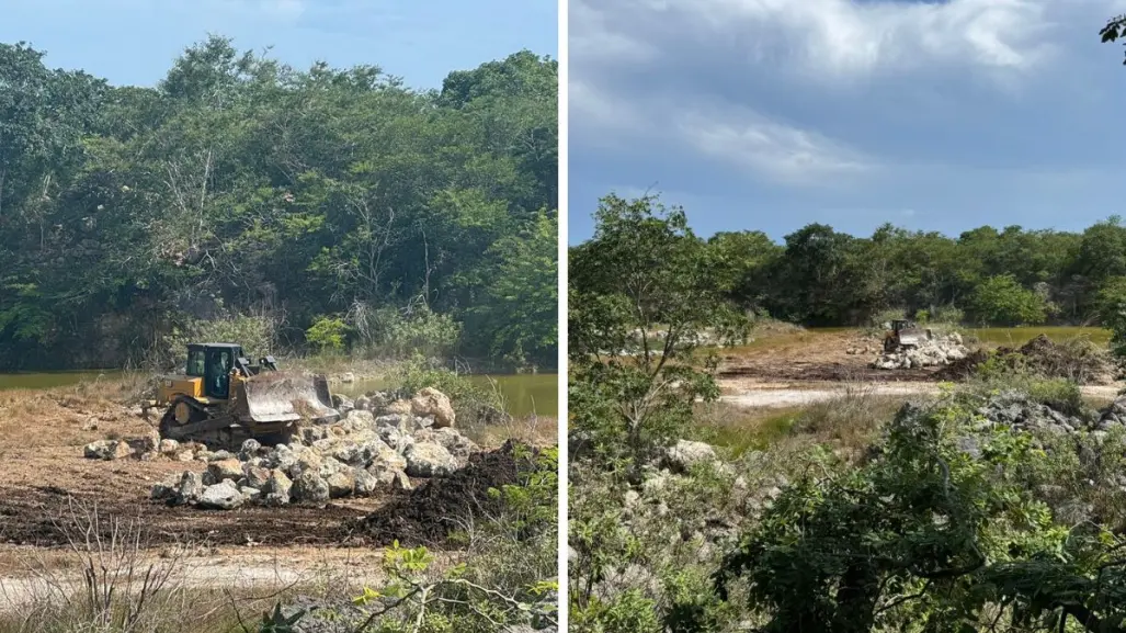 Ecocidio en Yucatán: denuncian presunta destrucción de la aguada de Sitpach