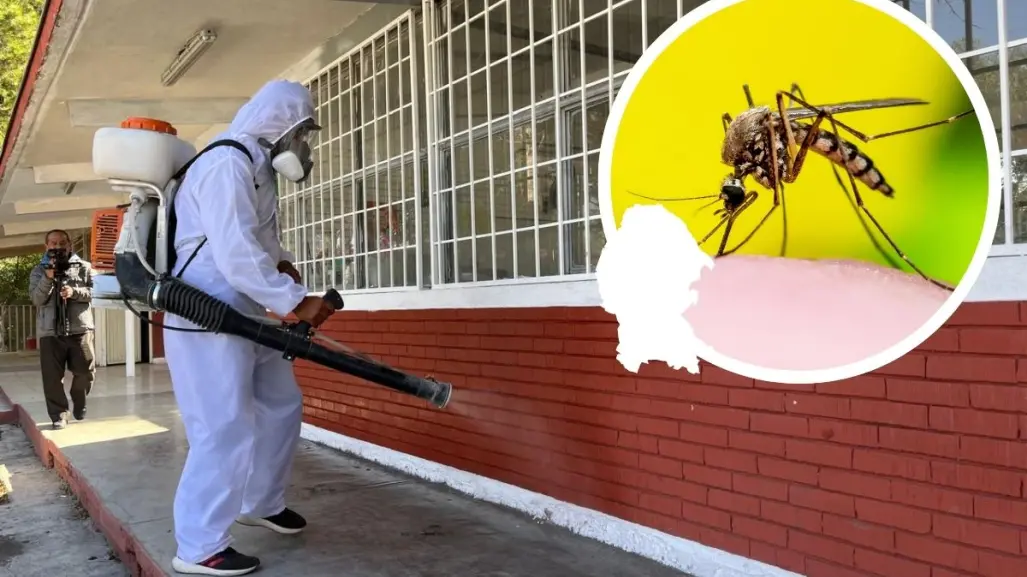 Aumenta demanda de fumigaciones contra el dengue en Saltillo hasta 100%