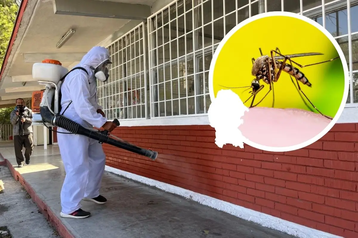 Solicitan más fumigaciones contra el dengue en Saltillo / Fotos: Marco Juárez | Canva