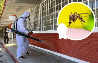 Aumenta demanda de fumigaciones contra el dengue en Saltillo hasta 100%