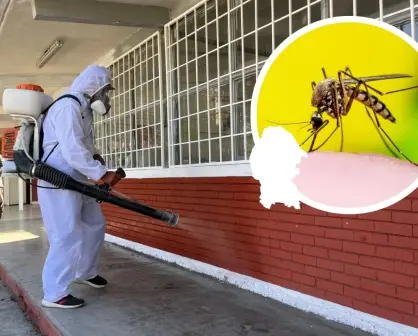 Aumenta demanda de fumigaciones contra el dengue en Saltillo hasta 100%