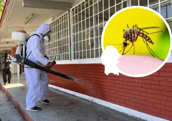 Aumenta demanda de fumigaciones contra el dengue en Saltillo hasta 100%