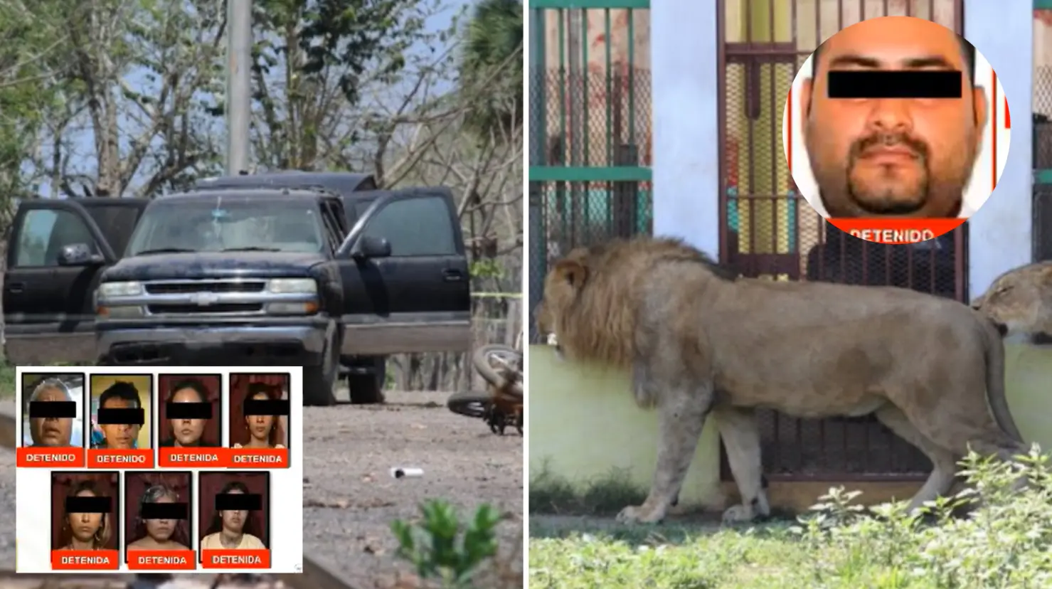 Los Piña: la célula delictiva del CJNG que operaba un zoológico en Veracruz. Foto: Gobierno de México | Ignacio Carvajal Blog Expediente