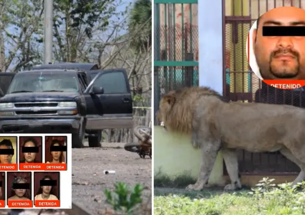 Los Piña: la célula delictiva del CJNG que operaba un zoológico en Veracruz