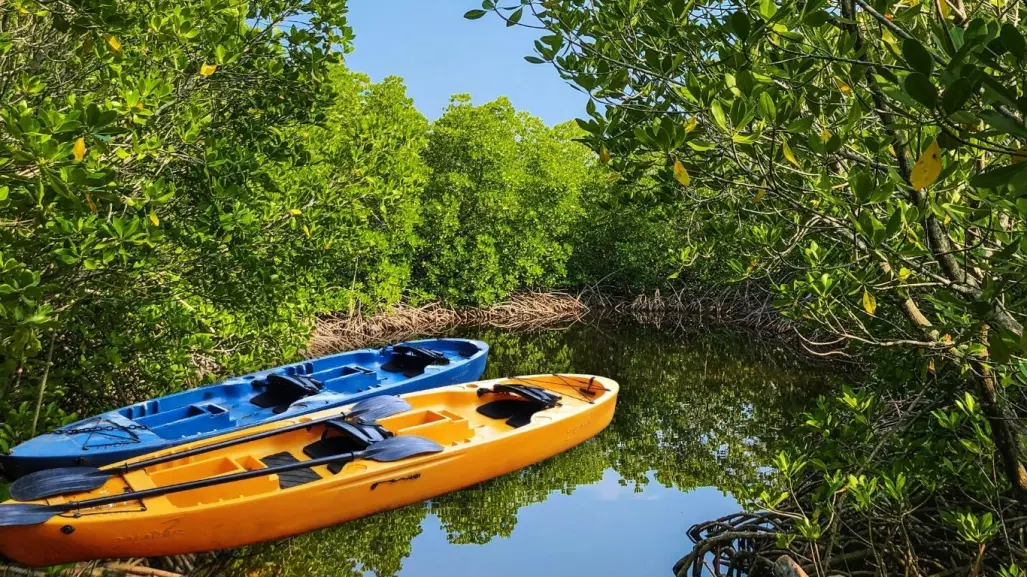 3 reservas naturales de Yucatán por menos de 200 pesos