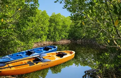 3 reservas naturales de Yucatán por menos de 200 pesos