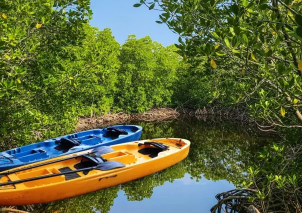 3 reservas naturales de Yucatán por menos de 200 pesos