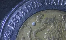 Científicos de Durango descubren el caracol más pequeño del mundo y esto se sabe