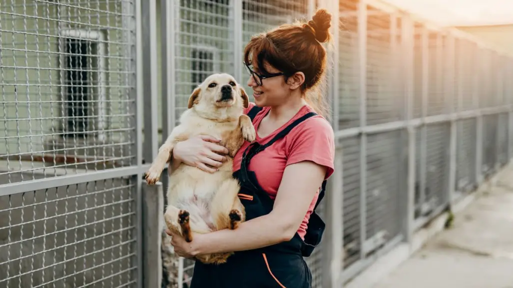 Zuazua te invita a encontrar un amigo fiel en su campaña de adopción canina
