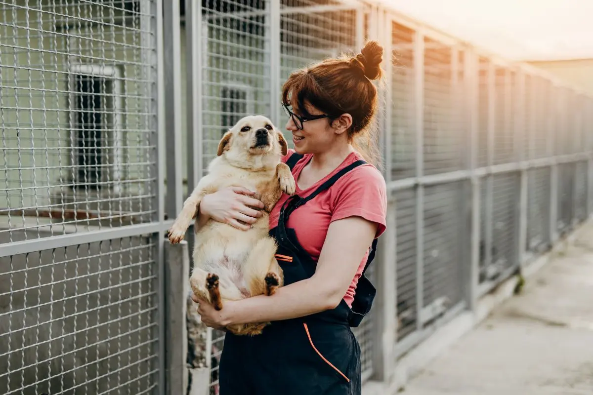 mujer sosteniendo a un perro Foto: Canva