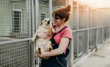 Zuazua te invita a encontrar un amigo fiel en su campaña de adopción canina