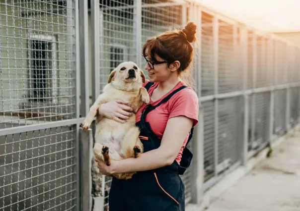 Zuazua te invita a encontrar un amigo fiel en su campaña de adopción canina