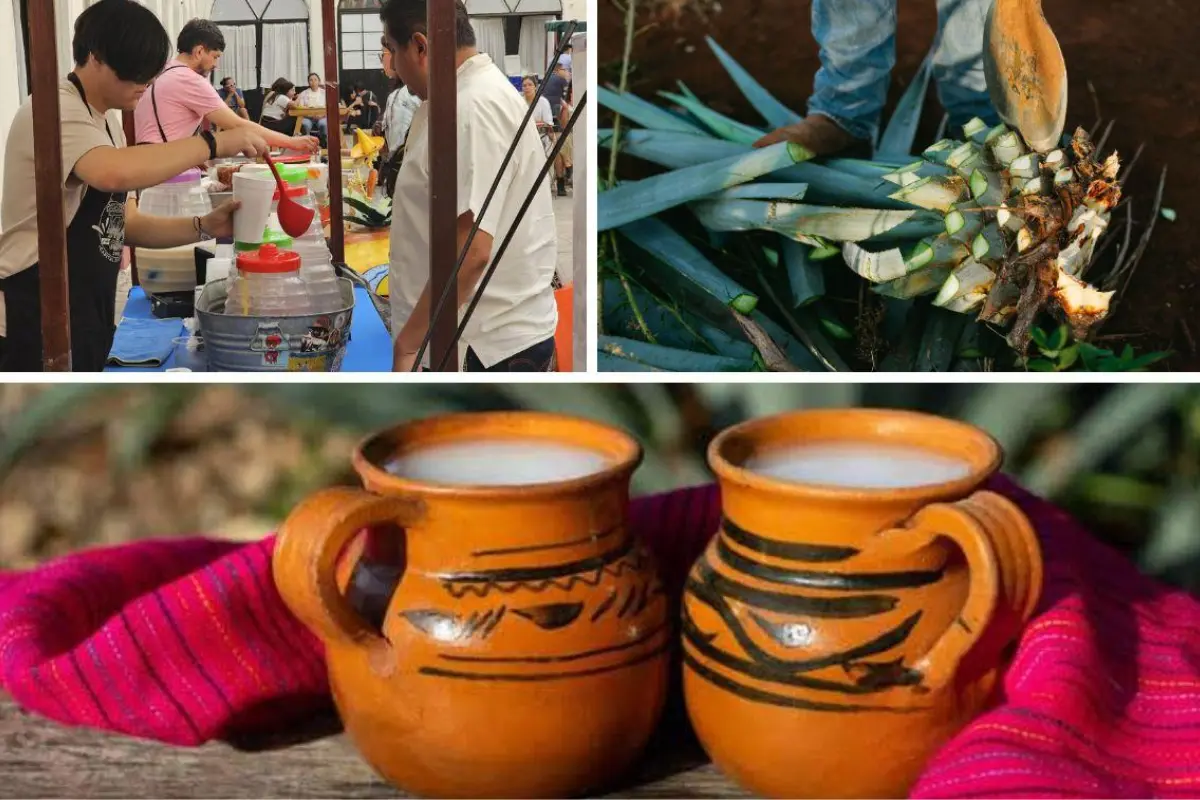 Facebook Feria Pulque 2024 l Canva