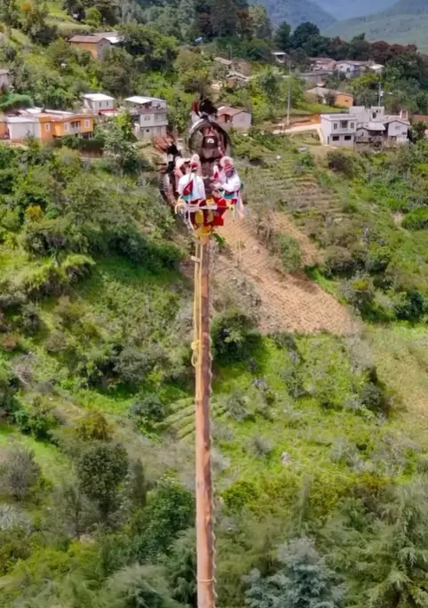 Foto: TikTok (@tendenciaspopmx)