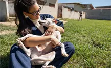 Acude a la Feria de Bienestar Animal y conoce a tu próxima mascota Acude a la Feria de Bienestar Animal y conoce a tu próxima mascota