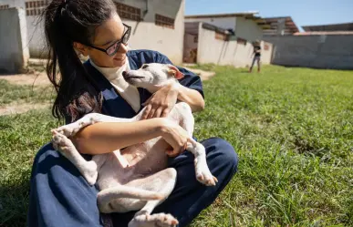 Acude a la Feria de Bienestar Animal y conoce a tu próxima mascota