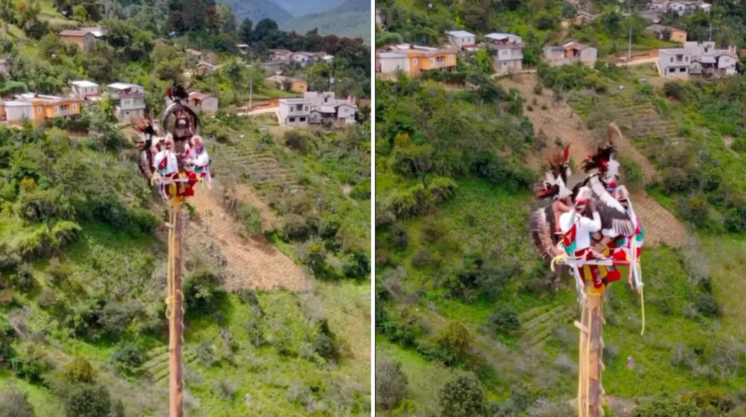 VIDEO | Voladores de Papantla sufren incidente a 20 metros de altura. Foto: TikTok (@tendenciaspopmx)