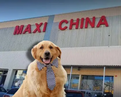 Estos artículos para tu mascota los puedes encontrar en las Maxi China de Nuevo León