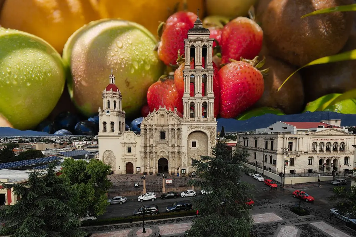 Esta es la fruta estrella de la Región Sureste en Coahuila / Foto: Archivo POSTA MX | Canva
