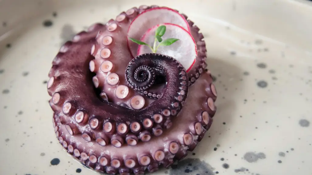 5 razones por las que debes comer pulpo yucateco