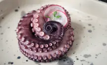 5 razones por las que debes comer pulpo yucateco