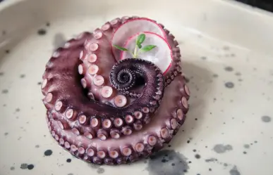 5 razones por las que debes comer pulpo yucateco