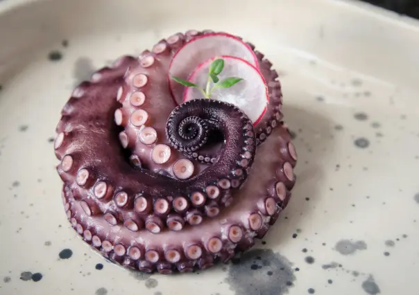 5 razones por las que debes comer pulpo yucateco