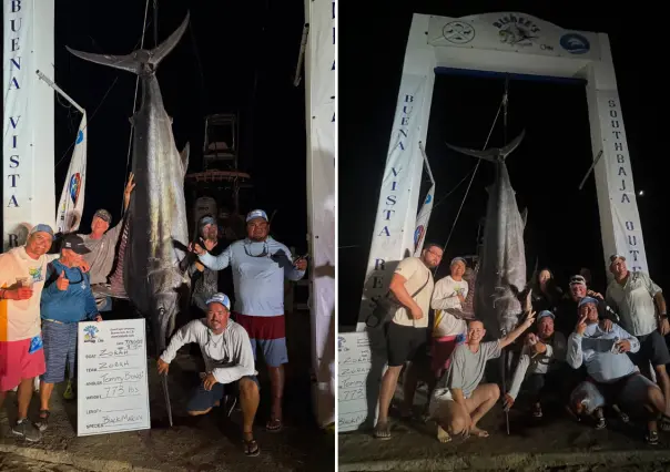 Capturan el marlín más grande en la historia del torneo Bisbee´s East Cape