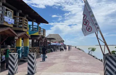 PROFEPA realiza operativo para verificar riesgos y concesiones en el litoral de Playa Miramar