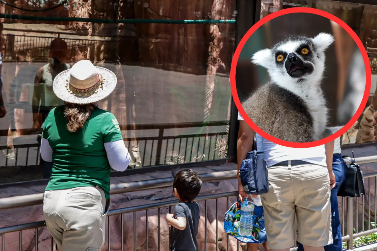 Disfruta de actividades recreativas en el Zoológico Tamatán de Ciudad Victoria. Ideal para toda la familia
