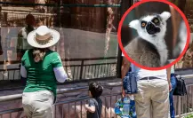 En este zoológico de Tamaulipas puedes encontrar más de 80 especies, ideal para niños y familia