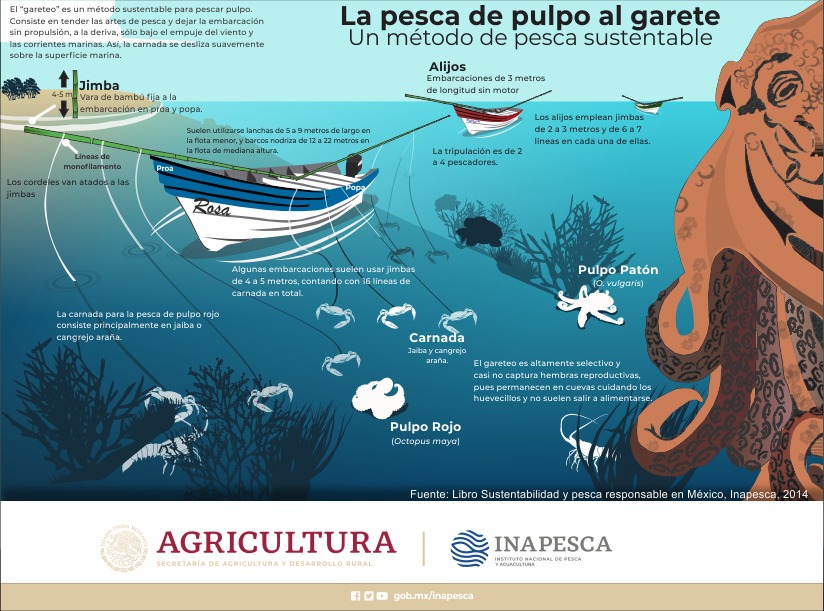 imagen-cuerpo imagen-cuerpo