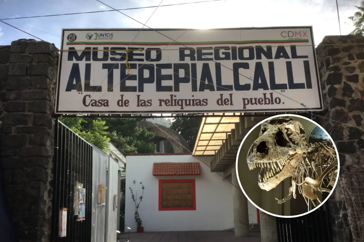 Exposición gratis de dinosaurios con fósiles reales en Museo Regional Altepepialcalli de CDMX.        Foto: Google Maps (Alín Martínez) | Canva