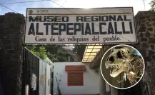 Exposición gratis de dinosaurios con fósiles reales en CDMX; disponible por tiempo limitado