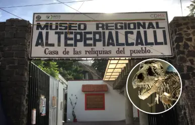 Exposición gratis de dinosaurios con fósiles reales en CDMX; disponible por tiempo limitado