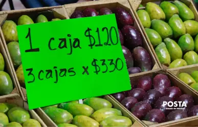 Feria de la Tuna 2025: actividades, conciertos y todo lo que podrás disfrutar en San Martín de las Pirámides